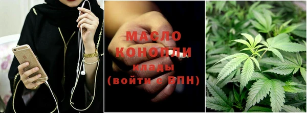гашик Вязьма
