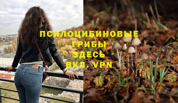 кокаин перу Вяземский